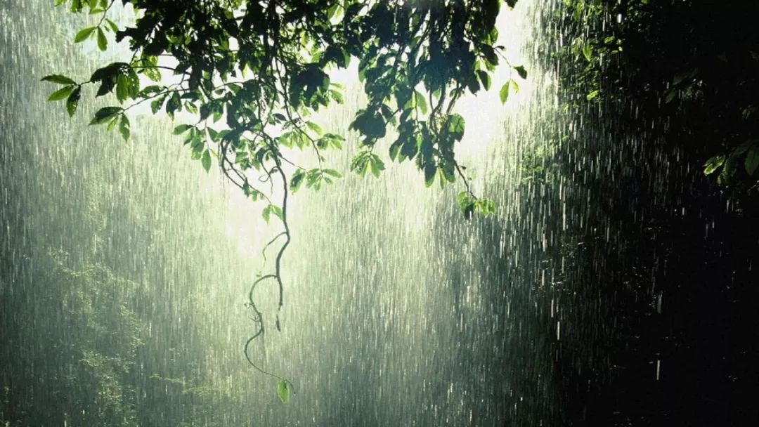 (雨季风景)