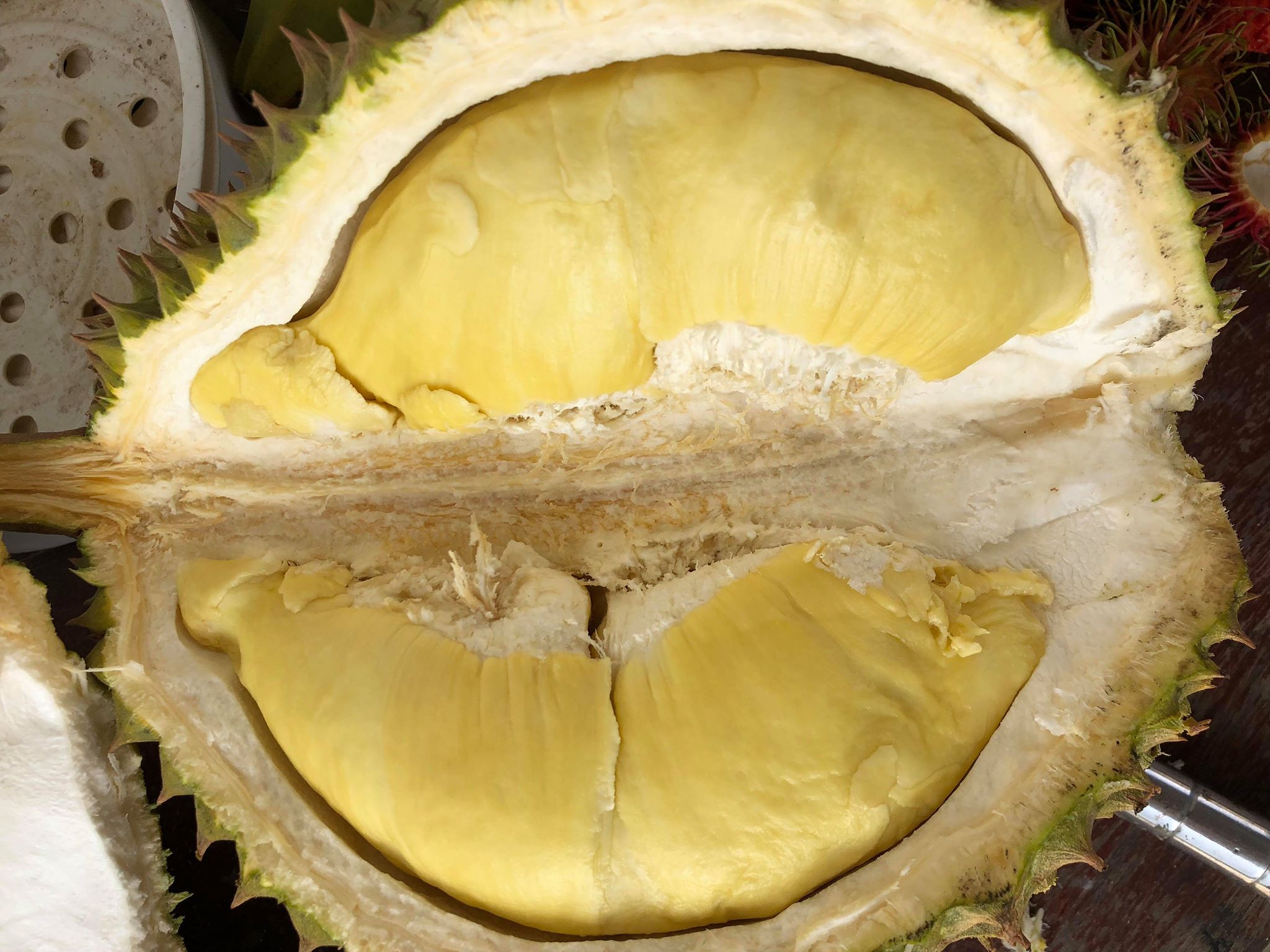 出售:柬埔寨-拉达那基里省榴莲