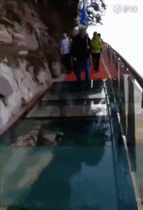 p1.gif