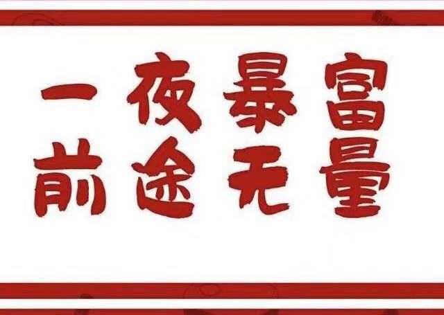 柬华人 新年快乐 万事如意 还是祝柬单网所有的粉丝 "2019 一夜暴富"