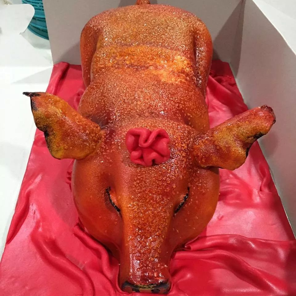 烤乳猪,绑猪毛……"猪宝宝"就要被网友们玩坏了!