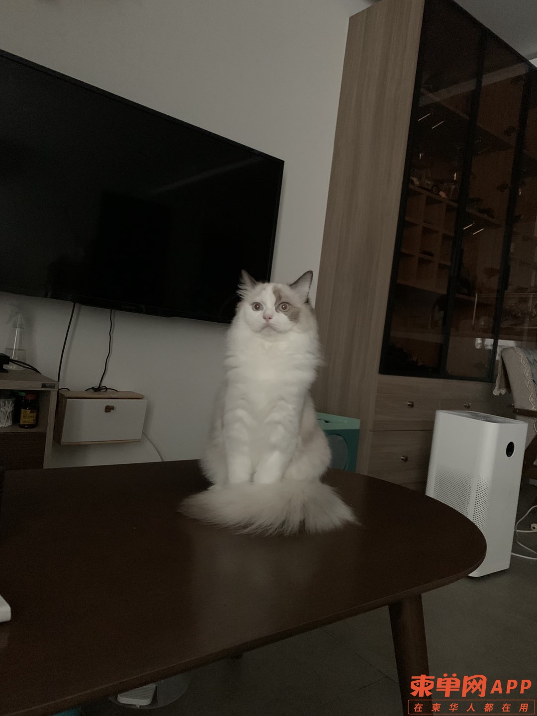 20221124152536front1_0_352542_Fn1PdTyO8BcTT9J_hvuN4Hzf9tu3.jpg