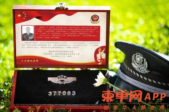 qw19.jpg