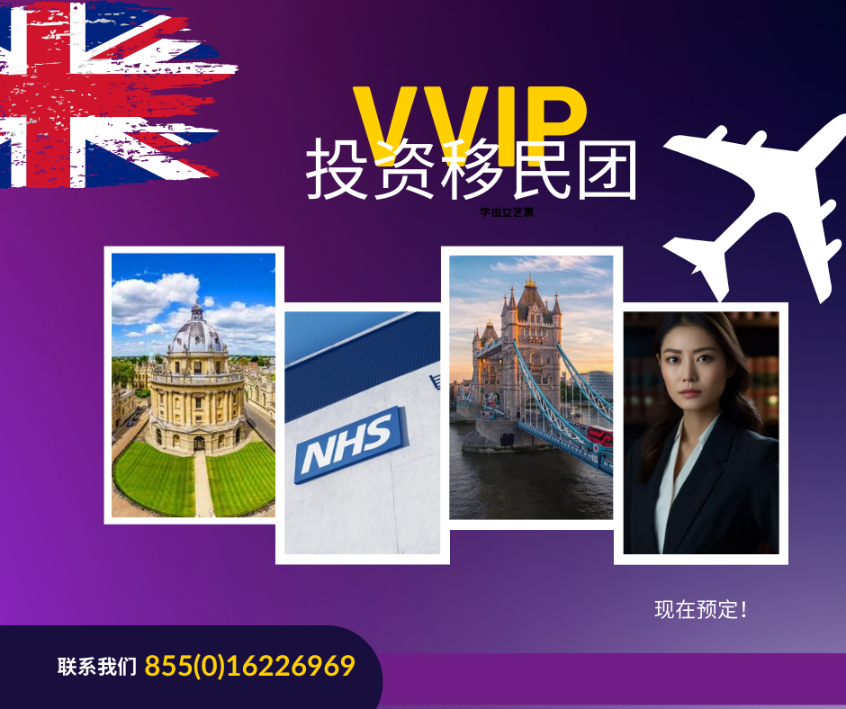 VVIP 投资移民团.png