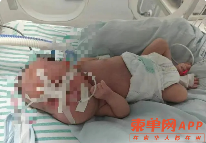 微信截图_20240828222401.png