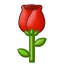 qw3.png
