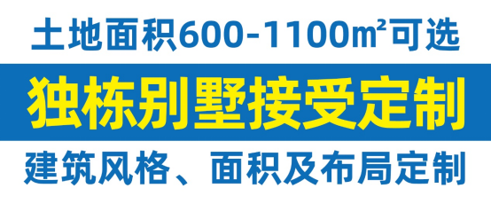 1733284949045.jpg