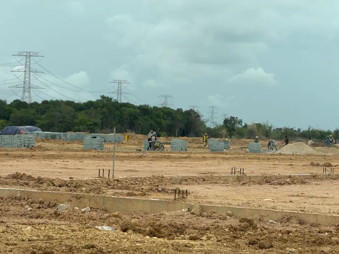 qw3.jpg
