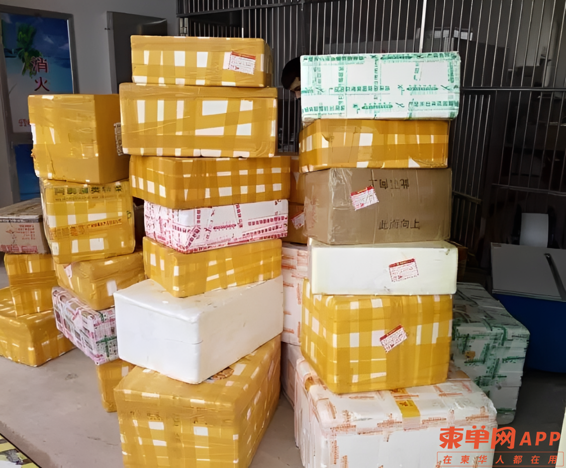 见过太多柬漂后,你会发现真正厉害的是这种人
