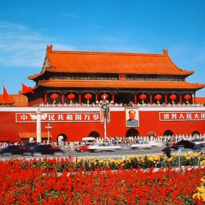 关于旅外华人的一些问题探讨