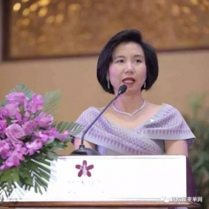 从家庭妇女到企业老总，她在柬埔寨是如何做到的？