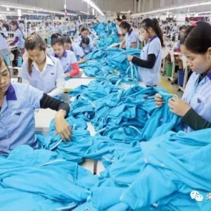 为何柬籍员工比较害怕外籍上司或老板？