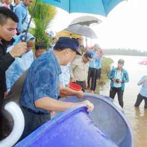 淡水湖投放鱼苗促进渔业可持续发展