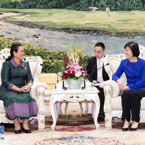沈跃跃、王钦敏分别会见柬埔寨参议院第八委员会主席棉森安 ... ...