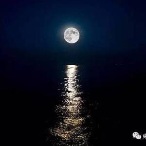 西港外最神秘的孤岛群，只有柬埔寨船长知道它的秘密