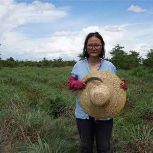 中国女人在柬埔寨这么拼！为啥？