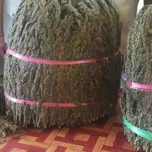 警方巡逻缴获20公斤大麻！