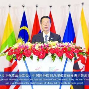 中国与东盟建成了世界上最大的发展中国家自由贸易区