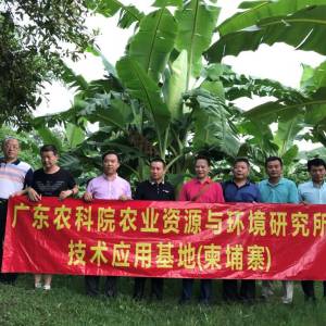 广东省农业科学院代表到访柬埔寨