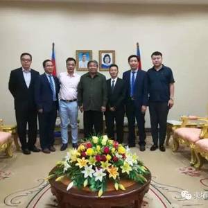 中资企业家拜会雍才宁副总理