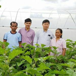 柏威夏省农业局领先起跑 奔迪达倡导种植新技术