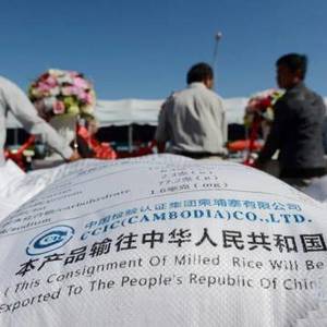 柬埔寨今年头11个月大米出口量同比增长近两成