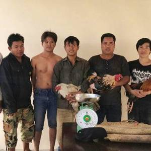 警方突袭非法斗鸡dubo场