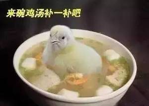 柬埔寨，你这个骗子！