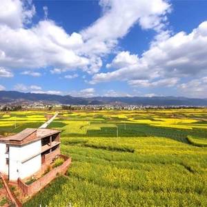 乡村旅游，绿水青山真是金山银山