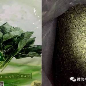 图寄“毒草”到美国  遭快邮公司识破