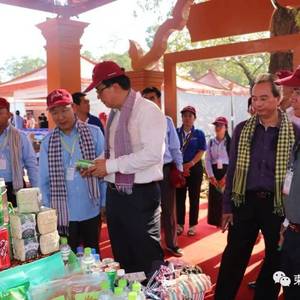 商务部：支持国产，利己利国。
