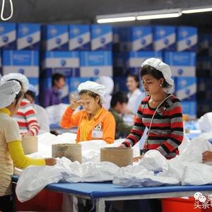 专家：18个月内，预计高达50％的工厂老板将离开柬埔寨