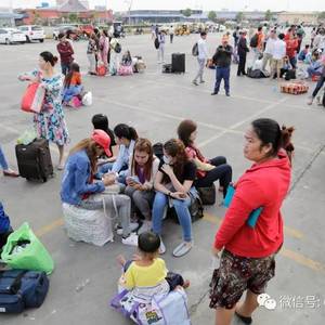 免费巴士 服务约1.4万人次