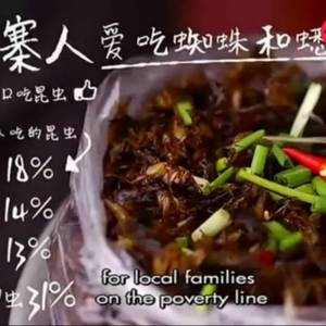 探访柬埔寨昆虫集市，小老板中文杠杠的