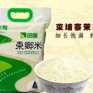 风调雨顺，柬埔寨稻米生产总量大增