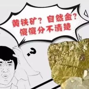 西港发现“大金矿”？官方辟谣了！