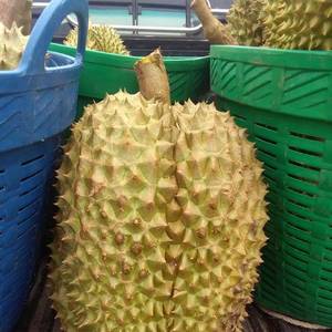 不容错过的季节：榴莲时节话榴莲