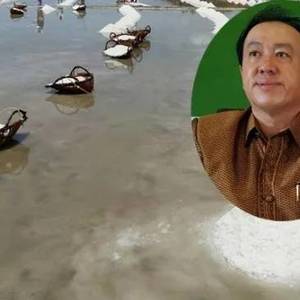 今年柬埔寨需进口3万吨食盐