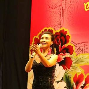 “亲情中华”文艺演出精彩纷呈