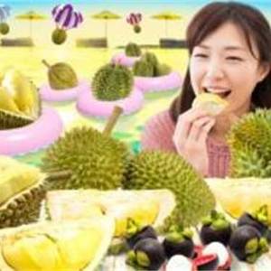 餐饮优惠体坛盛事‧金界呈献精彩6月