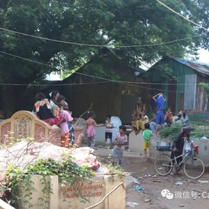 金边市政府计划整顿“墓园社区”