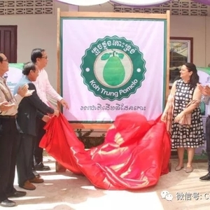 桔井“笼岛柚子” 国家地理标志产品