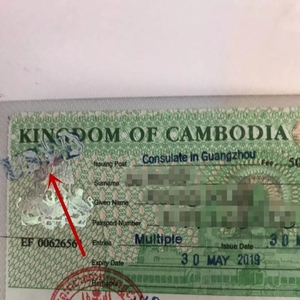 爆料 | 一同胞签证被涂鸦，疑是海关做了手脚