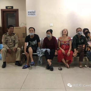 涉商业代孕活动 5男女被提控